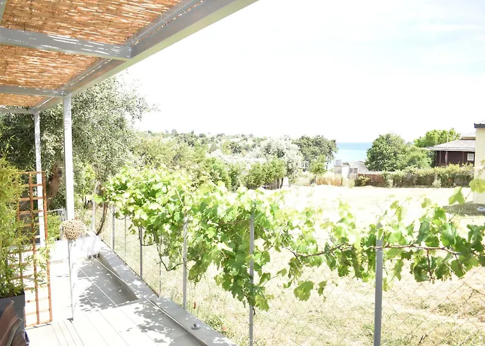 Theros Summer Project