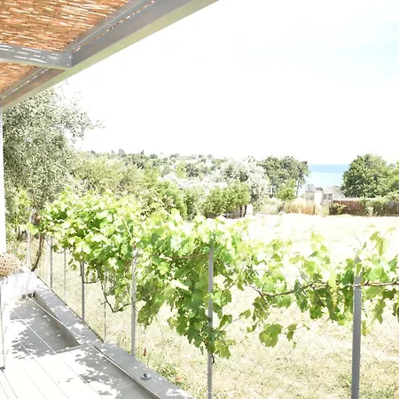 Theros Summer Project